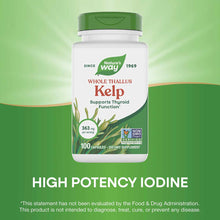Nature's Way Whole Thallus Kelp supplement bottle containing 100 capsules with green cap on gradient green background.