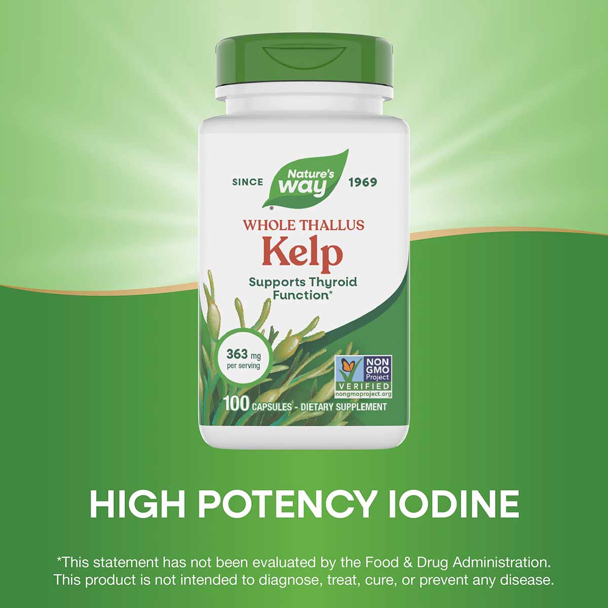 Nature's Way Whole Thallus Kelp supplement bottle containing 100 capsules with green cap on gradient green background.