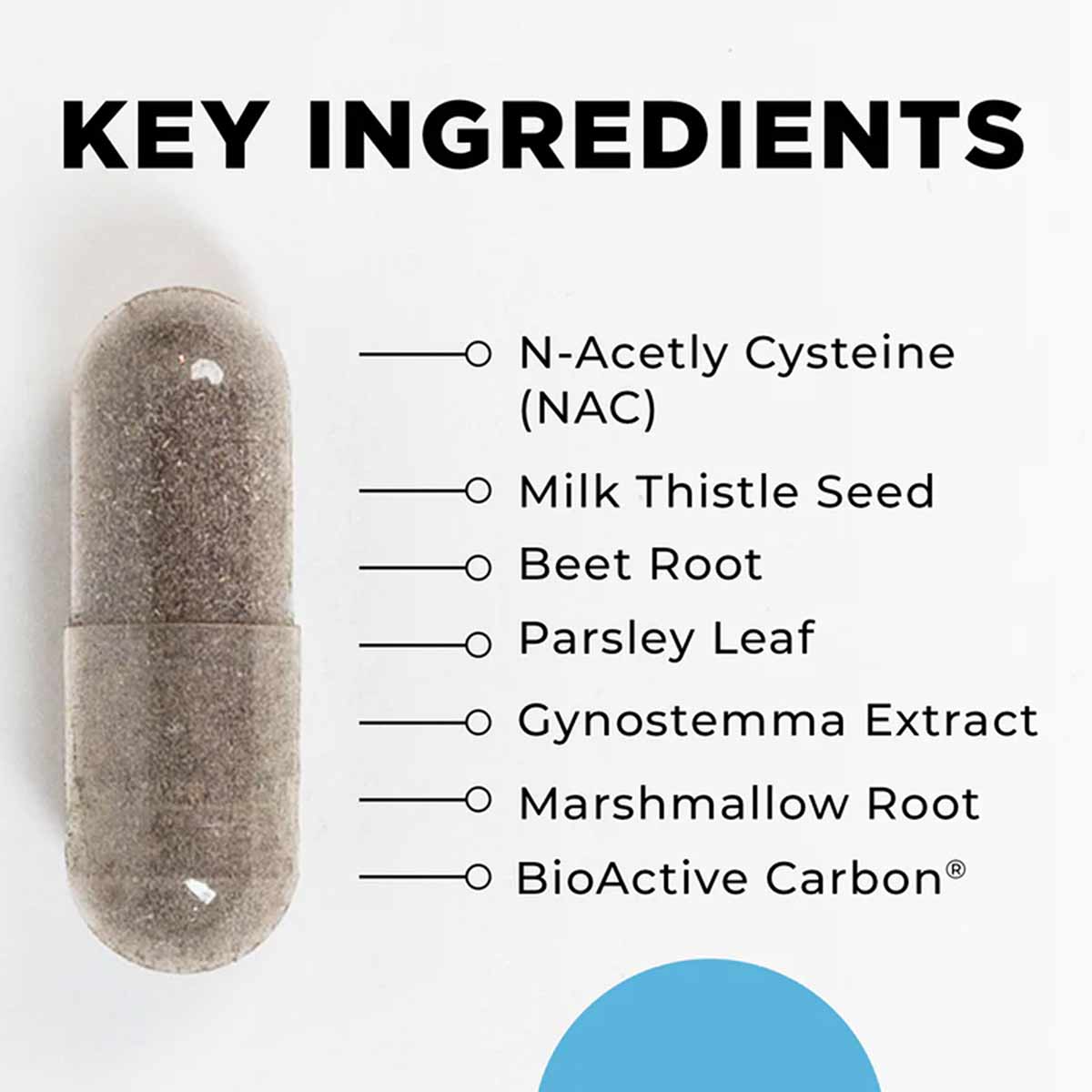 Tan capsule with labeled key ingredients including N-Acetyl Cysteine, Milk Thistle Seed, Beet Root, Parsley Leaf, Gynostemma 