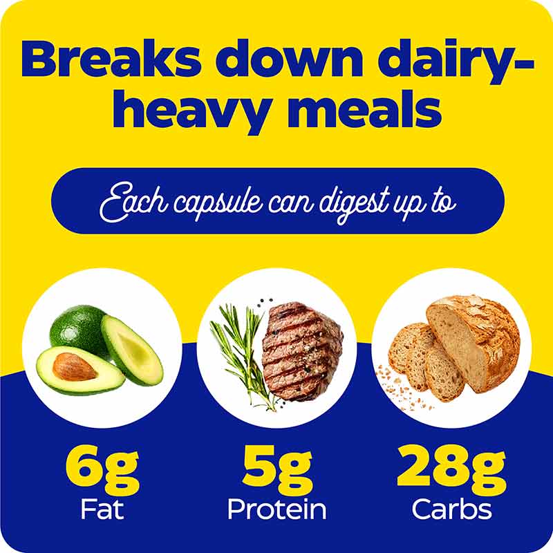 Lacto, 90 Capsules, by Enzymedica, image #5