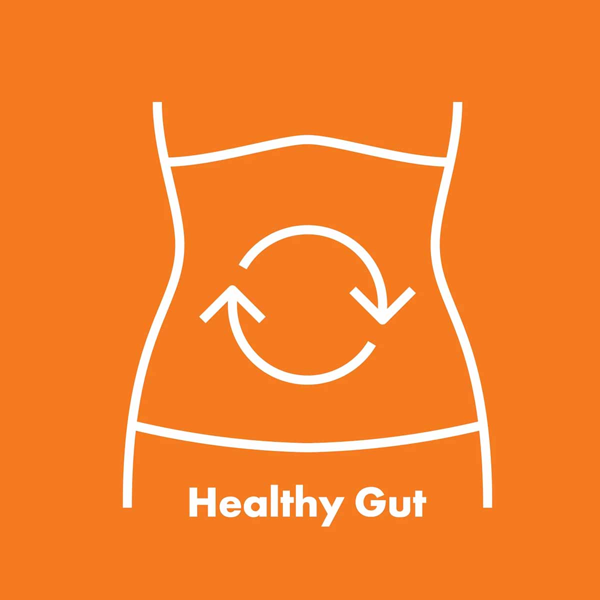 White line illustration of a torso with digestive arrows and "Healthy Gut" text on orange background.