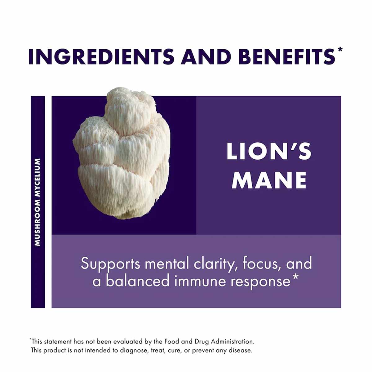 Lion's Mane mushroom mycelium displayed on purple background with ingredients and benefits text.