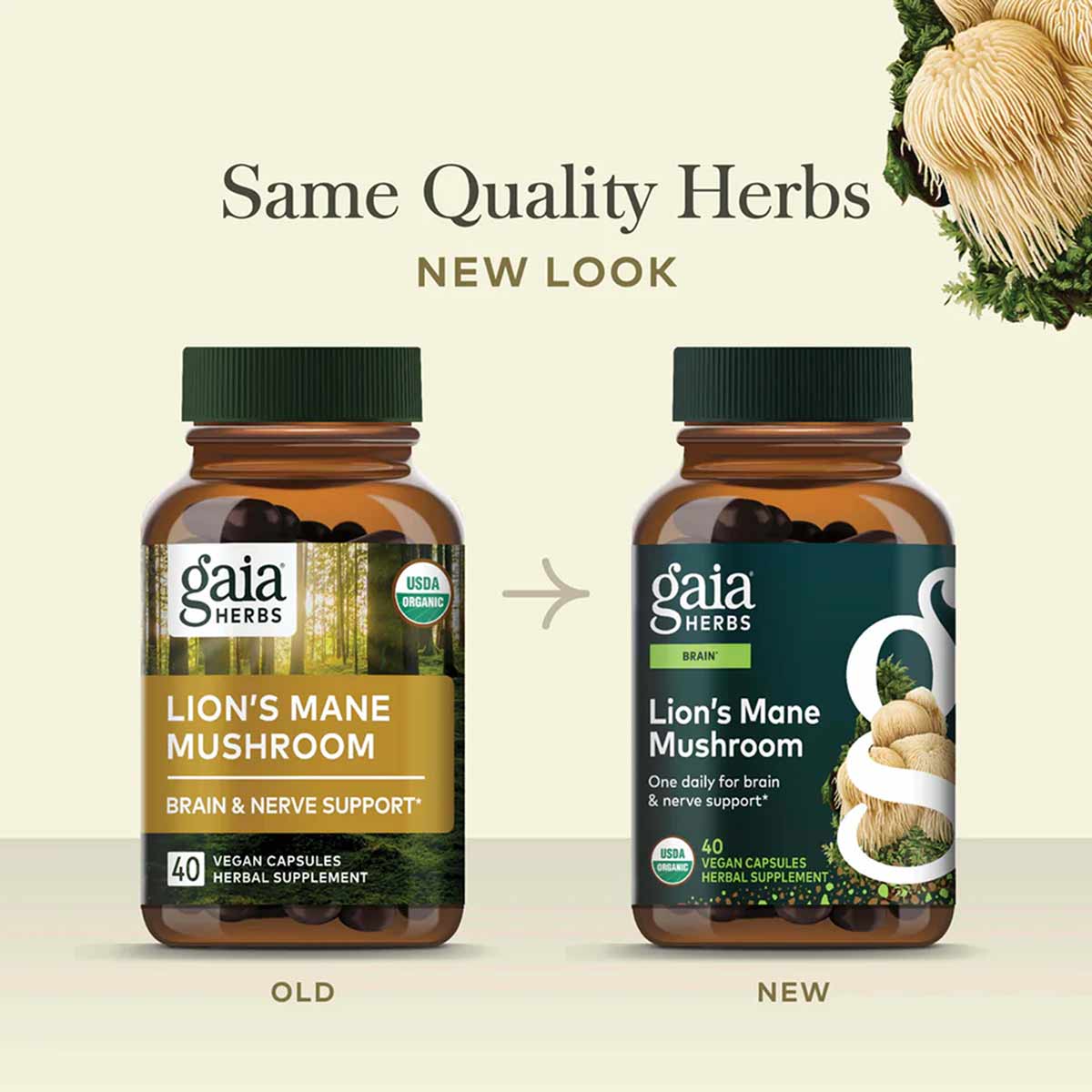 Lion's Mane Mushroom, by Gaia Herbs