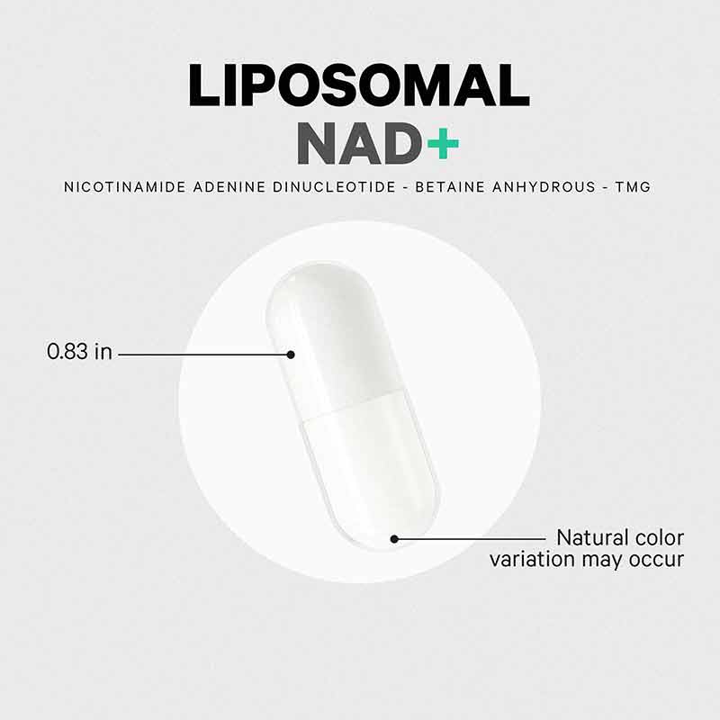 Liposomal NAD+, by Codeage, image #5