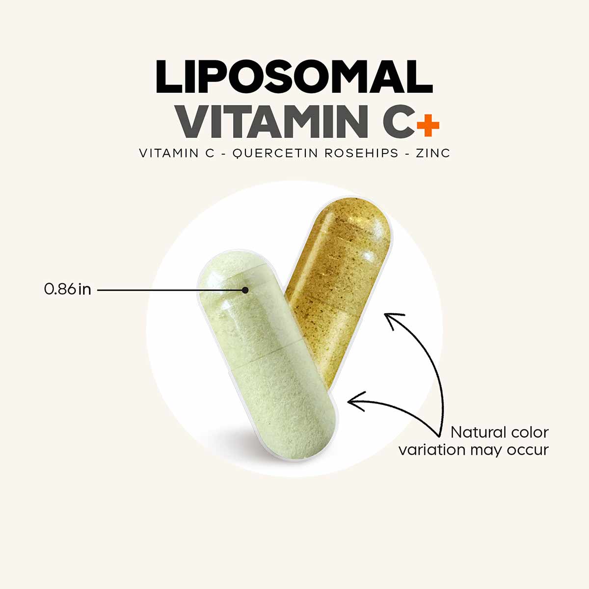 Light green and gold capsules labeled Liposomal Vitamin C+ with size measurement of 0.86 inches shown.