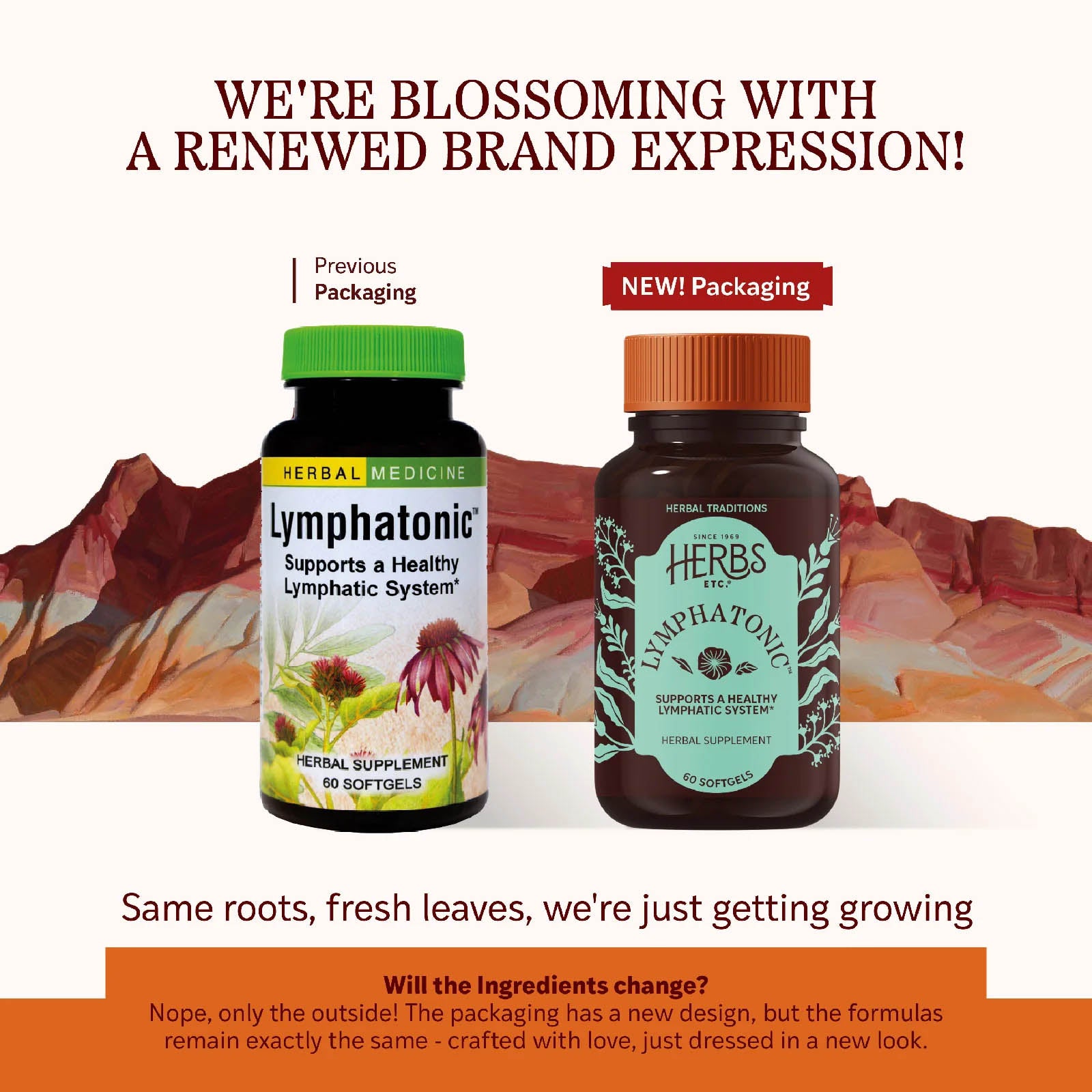 Lymphatonic Softgels, 60 Softgels, by Herbs, Etc, image #3