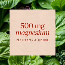 Beige label with red text displaying "500 mg magnesium per 2-capsule serving" on green foliage background.