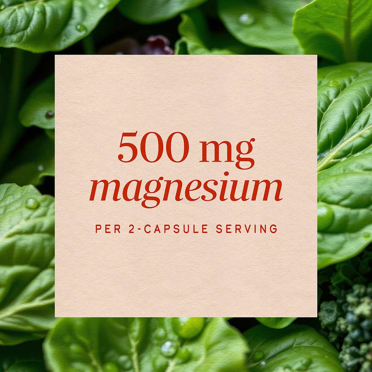 Beige label with red text displaying "500 mg magnesium per 2-capsule serving" on green foliage background.