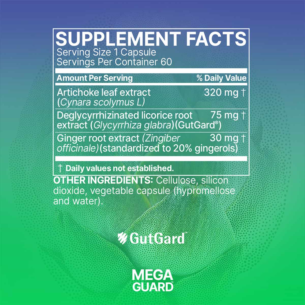 MegaGuard Nature's Stomach Support, 60 Capsules, by Microbiome Labs