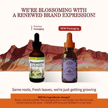 Menopautonic Liquid, by Herbs, Etc, image #3