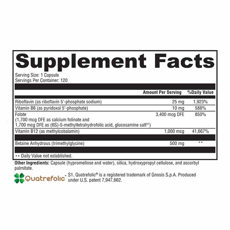 Methyl Protect, 120 Veg Capsules, by Xymogen, image #2