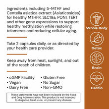 MethylGenic, by Alimentum Labs, image #2