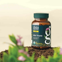 Gaia Herbs Milk Thistle supplement bottle with green cap and dark label, containing 60 vegan capsules, displayed on soil with