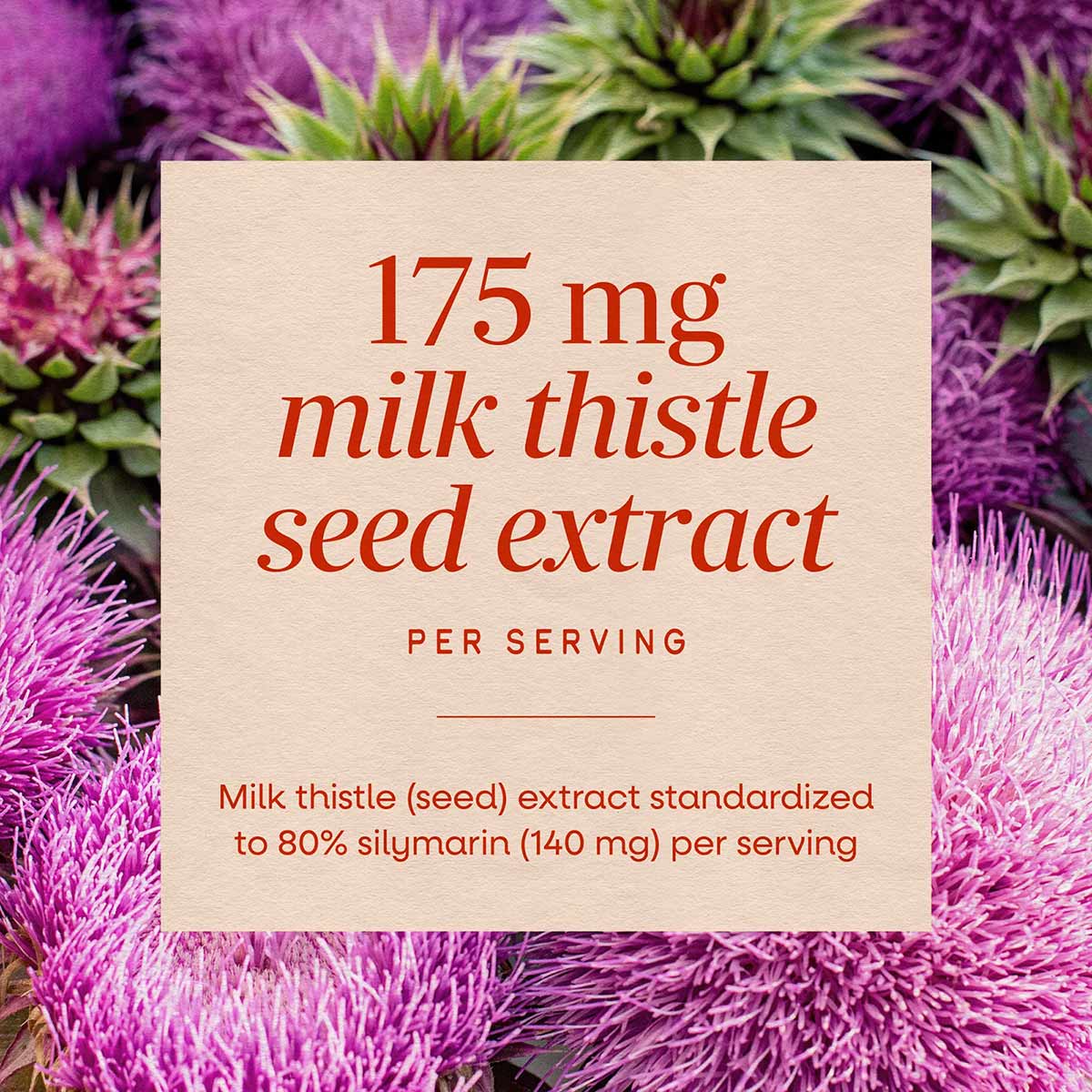 Cream-colored label with red text displaying "175 mg milk thistle seed extract per serving" on purple thistle flower backgrou