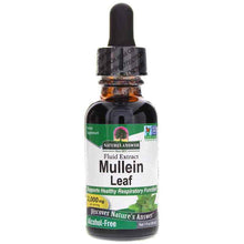 Mullein Extract Alcohol-Free, by Natures Answer