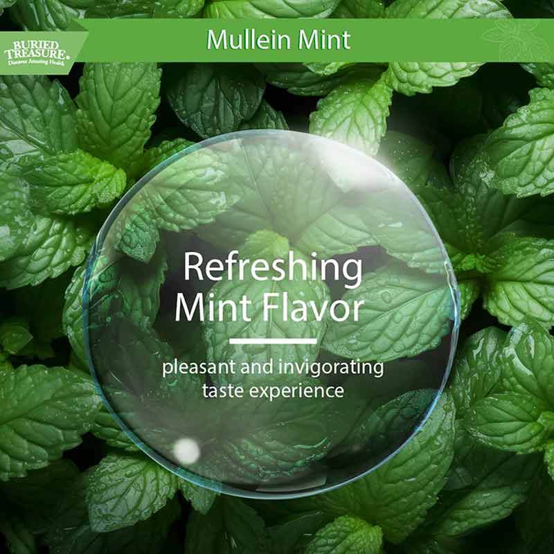 Mullein Mint, by Buried Treasure, image #7
