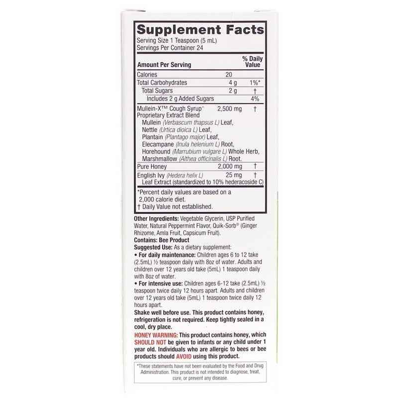 Mullein-X Cough Syrup Multi-System, Nature's Answer – Professional
