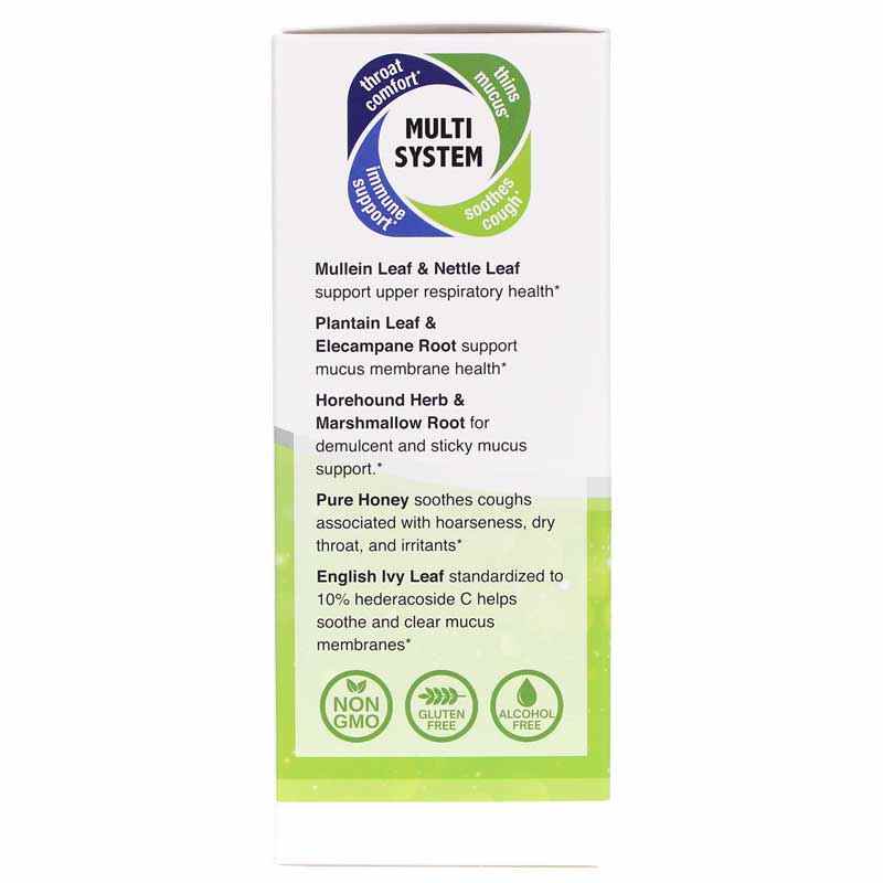 Mullein-X Cough Syrup Multi-System, Nature's Answer – Professional