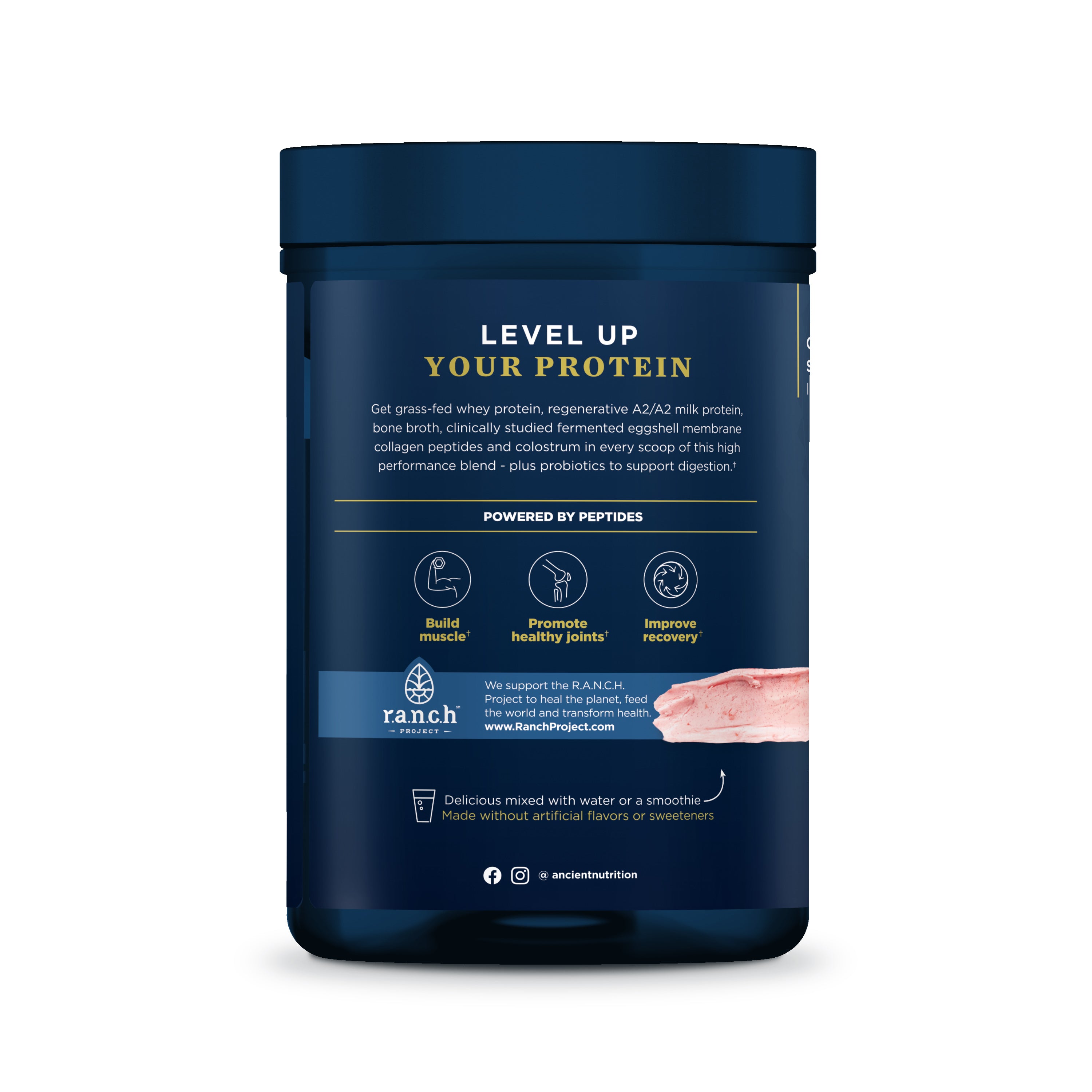 Multi Protein Animal Based, by Ancient Nutrition