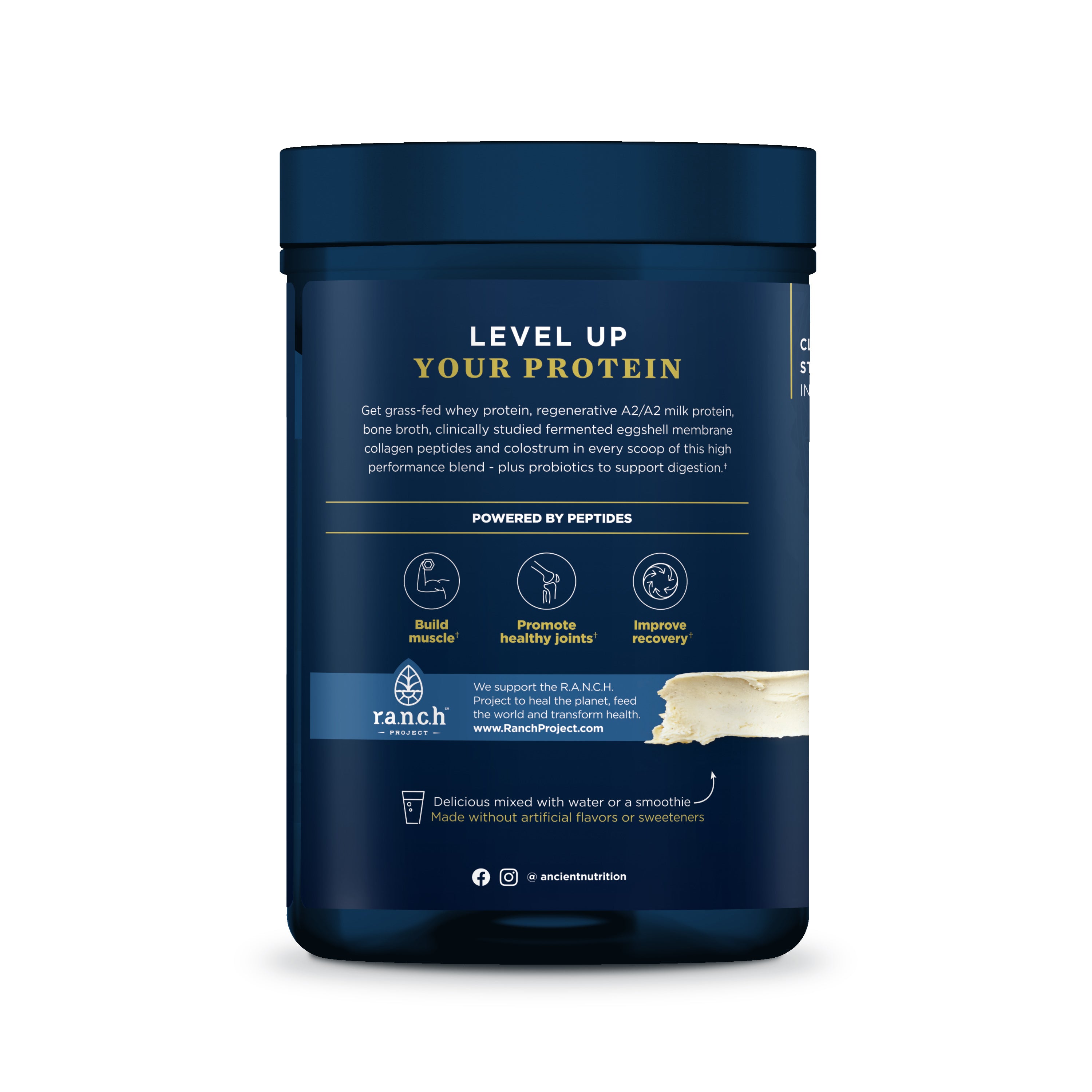 Multi Protein Animal Based, by Ancient Nutrition