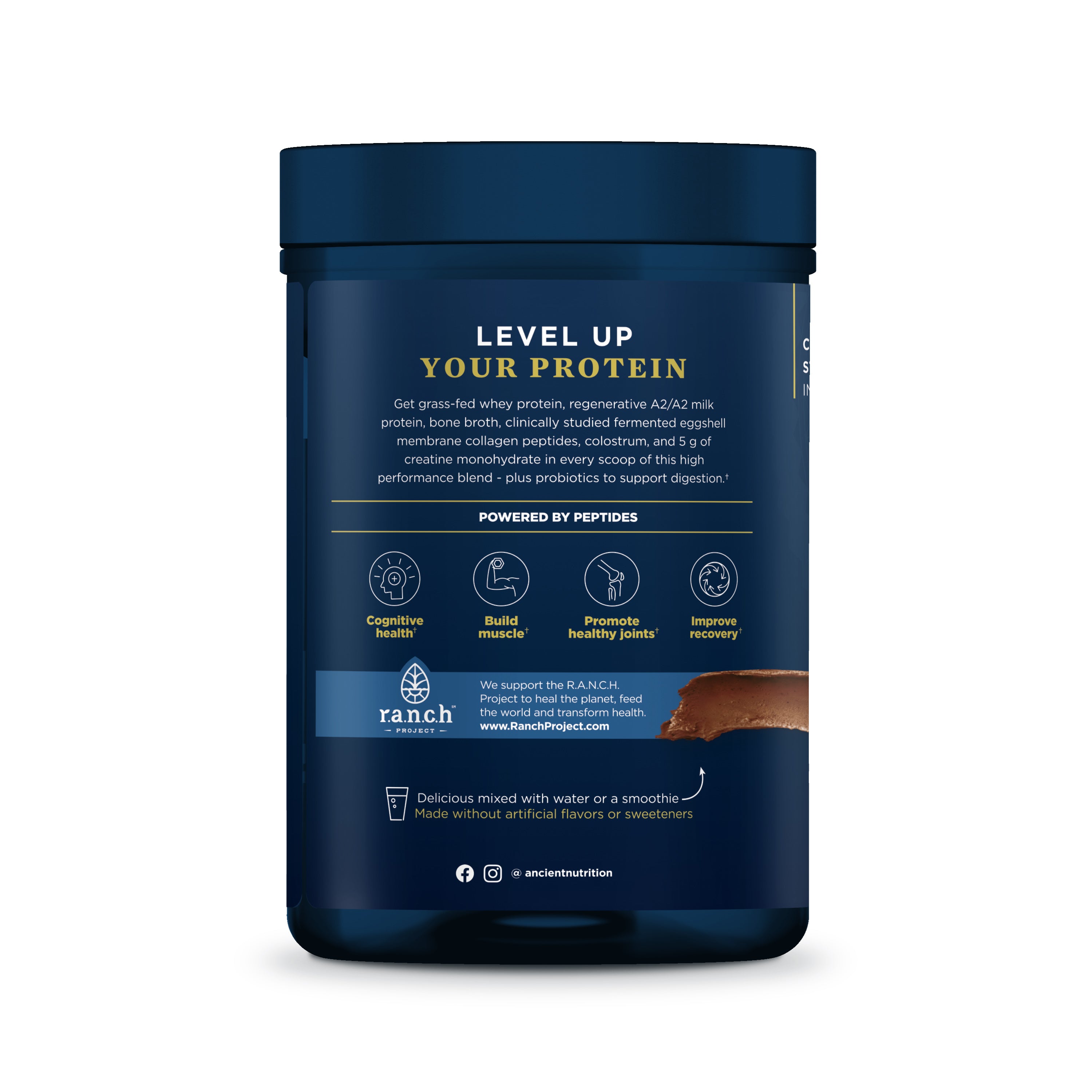 Multi Protein Animal Based Plus Creatine, by Ancient Nutrition