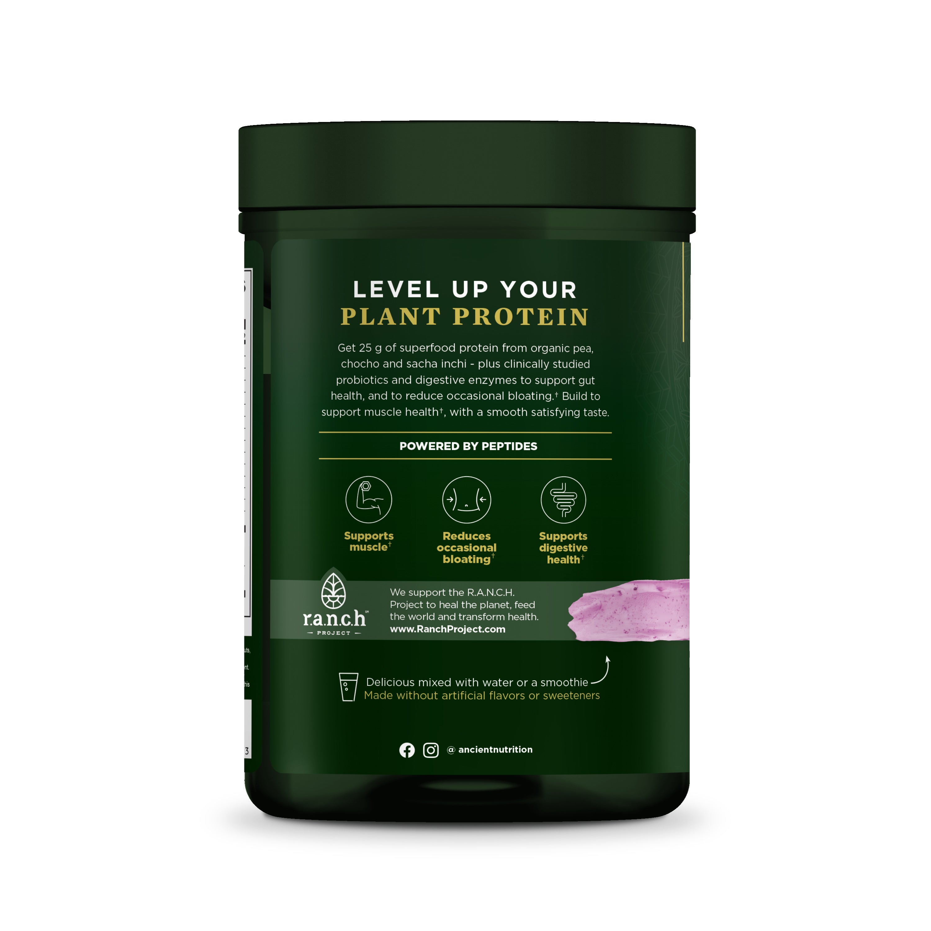 Multi Protein Plant Based, by Ancient Nutrition