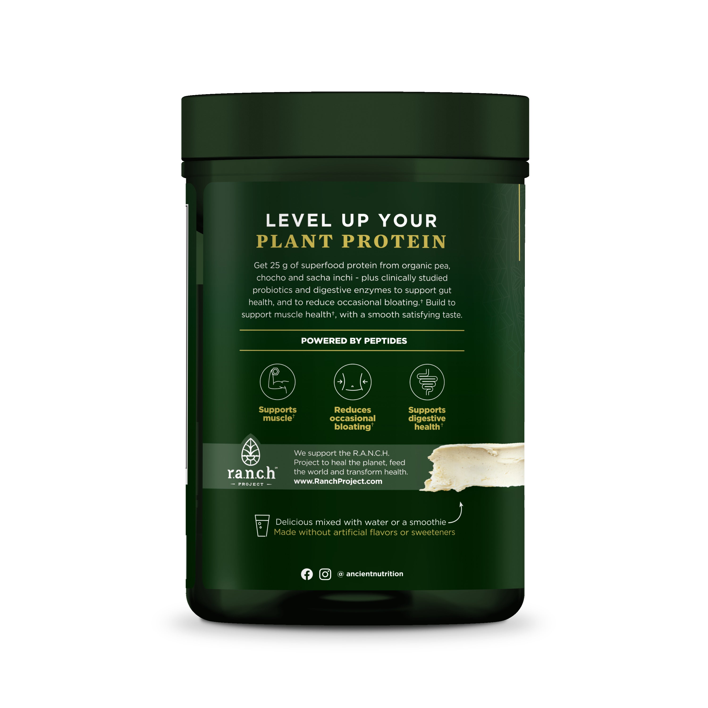 Multi Protein Plant Based, by Ancient Nutrition