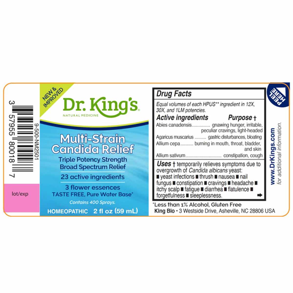 Dr. King's Multi-Strain Candida Relief homeopathic spray bottle with blue and white label showing drug facts and ingredient i