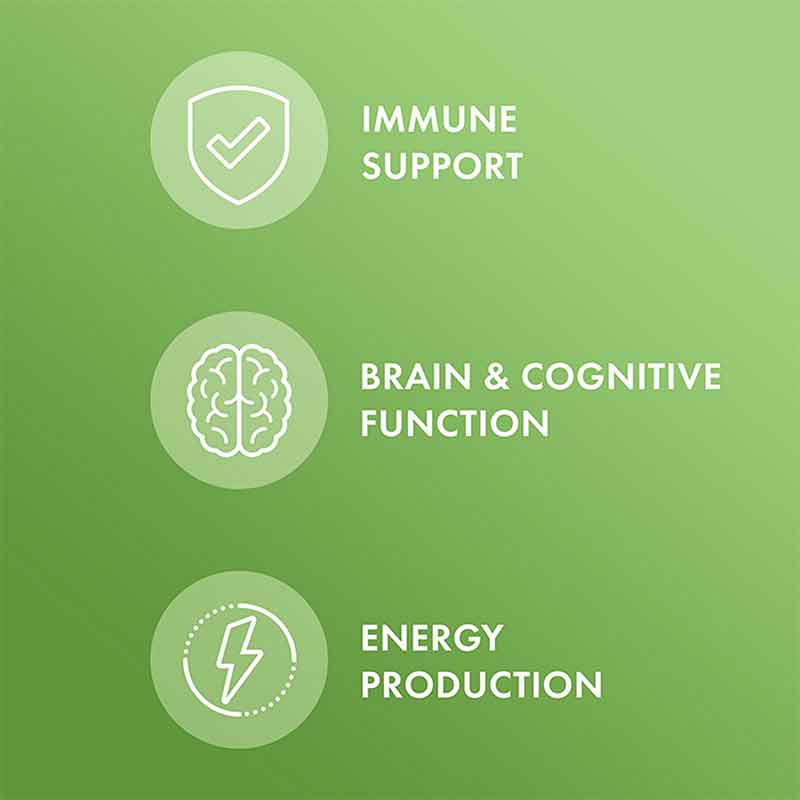 Multivitamin Mini-Tabs, by Dr. Mercola, image #3