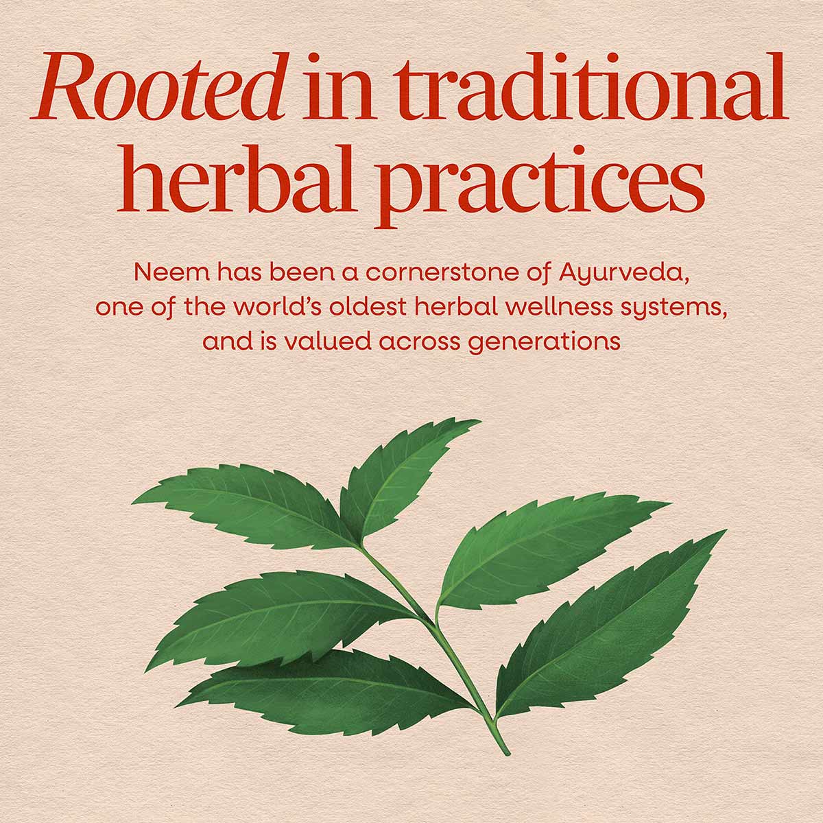 Neem leaf branch with multiple green leaflets on a beige background with red text about traditional herbal practices.