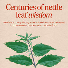Nettle leaf supplement bottle showing green nettle plant illustration with leaves and stem on beige background.