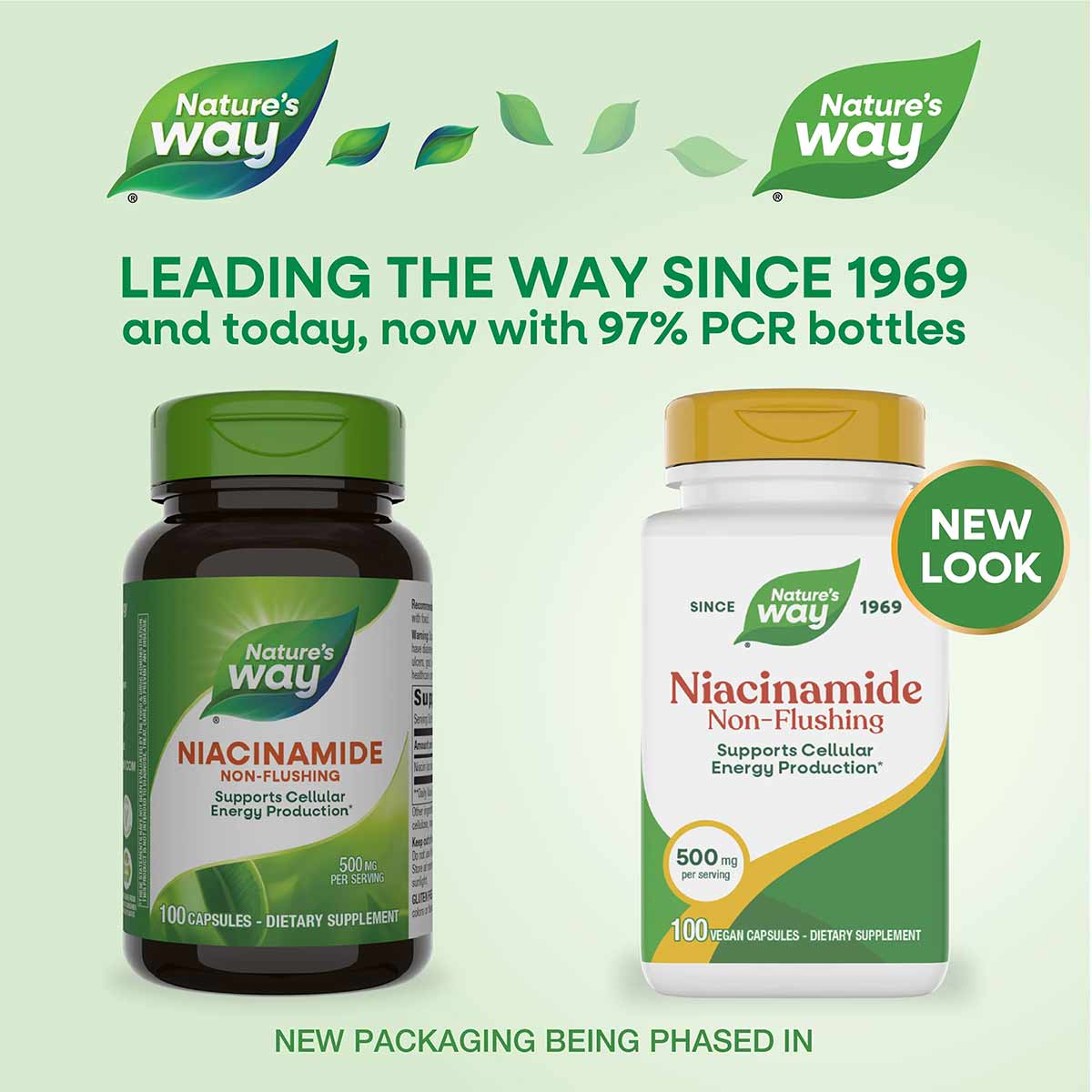 Two Nature's Way Niacinamide 500mg Non-Flushing supplement bottles, one dark green and one white with gold cap, each containi