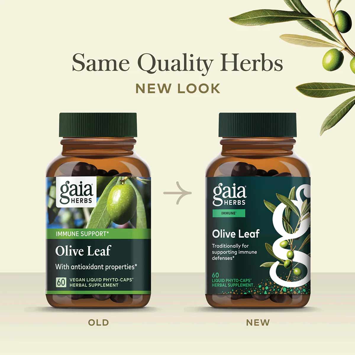 Two amber bottles of Gaia Herbs Olive Leaf supplement showing old and new label designs side by side.