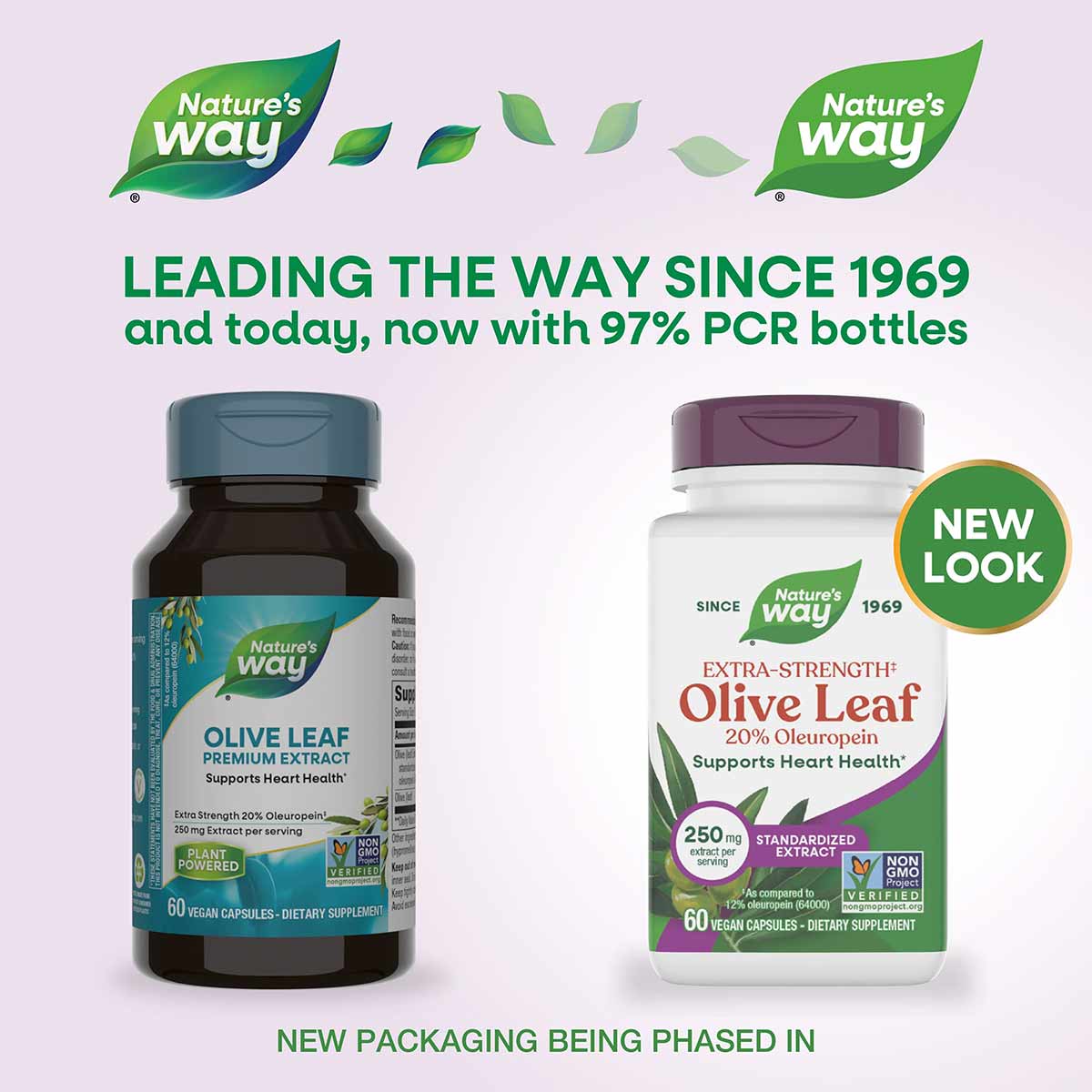 Two Nature's Way Olive Leaf supplement bottles: dark glass bottle with teal cap and white bottle with burgundy cap, both cont