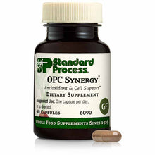 OPC Synergy, by Standard Process