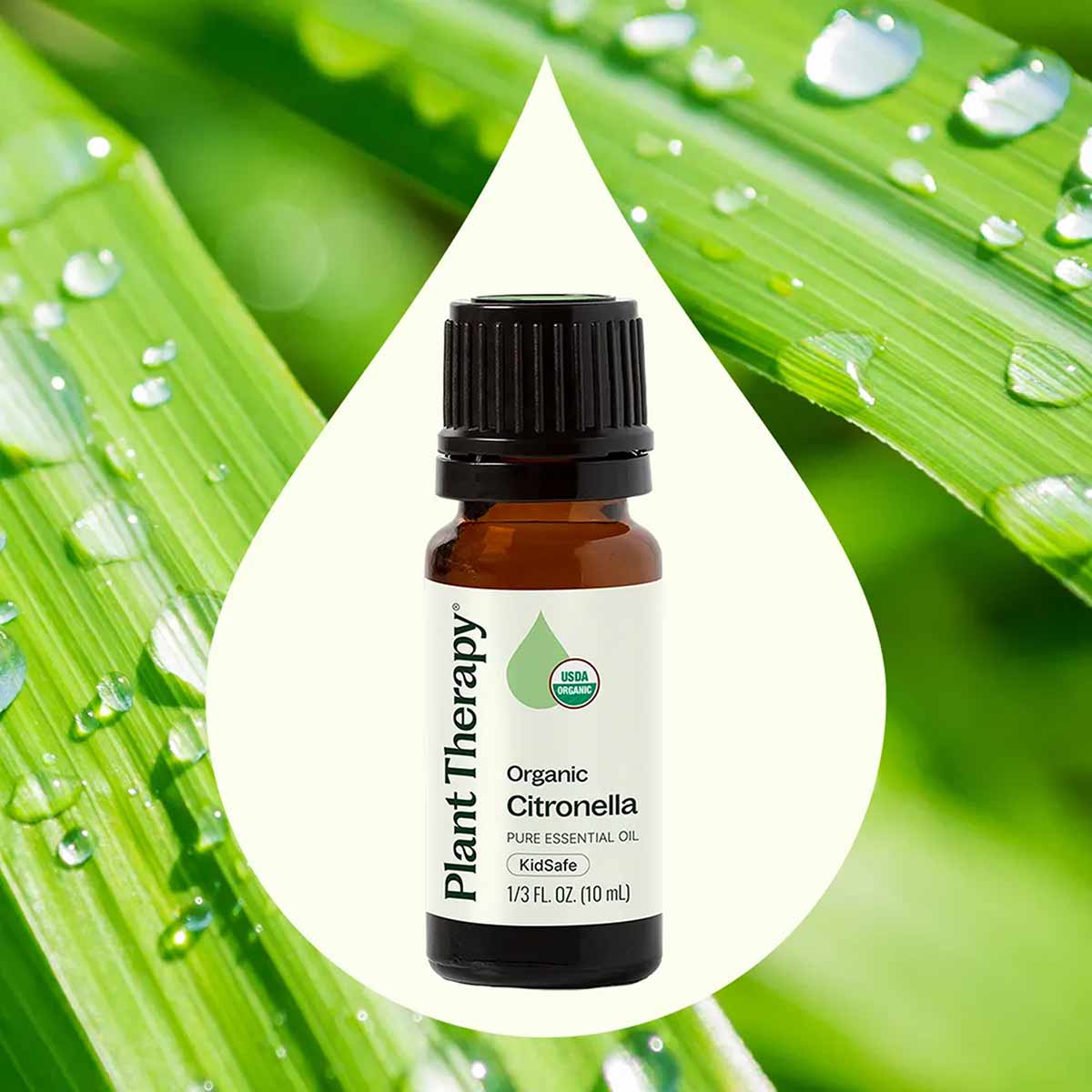 Amber glass bottle with black cap labeled "Plant Therapy Organic Citronella Pure Essential Oil" against green leaf background