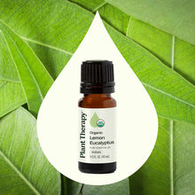 Small brown glass bottle with black cap labeled "Plant Therapy Organic Lemon Eucalyptus Pure Essential Oil KidSafe 1/3 FL OZ"