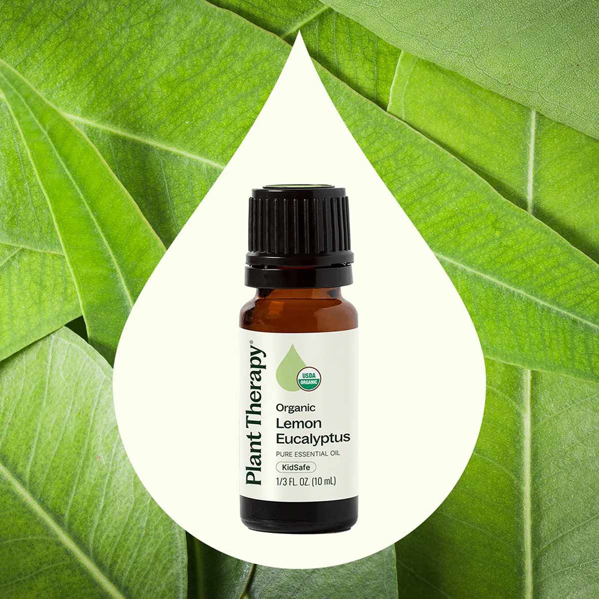 Small brown glass bottle with black cap labeled "Plant Therapy Organic Lemon Eucalyptus Pure Essential Oil KidSafe 1/3 FL OZ"
