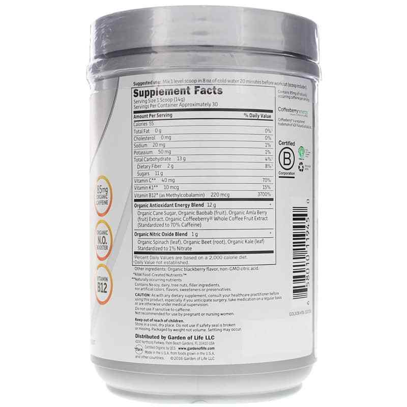 Organic Plant-Based Energy + Focus, Blackberry, 15.3 Oz, by Garden of Life Sport, image #2