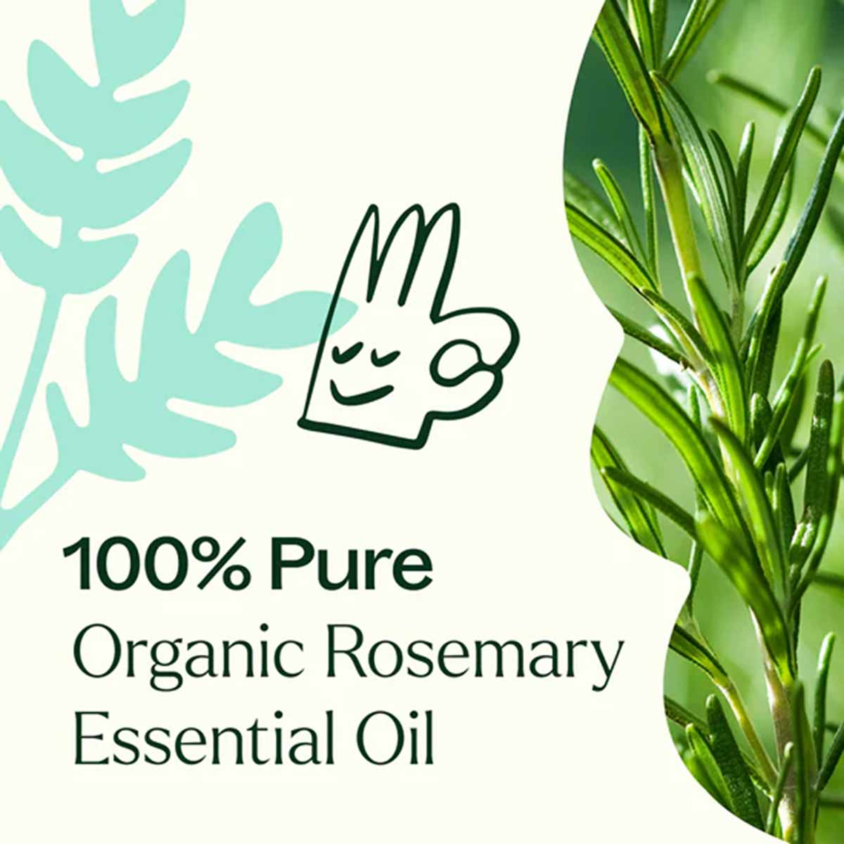 Fresh rosemary sprigs on right with turquoise leaf illustration on left and text reading "100% Pure Organic Rosemary Essentia