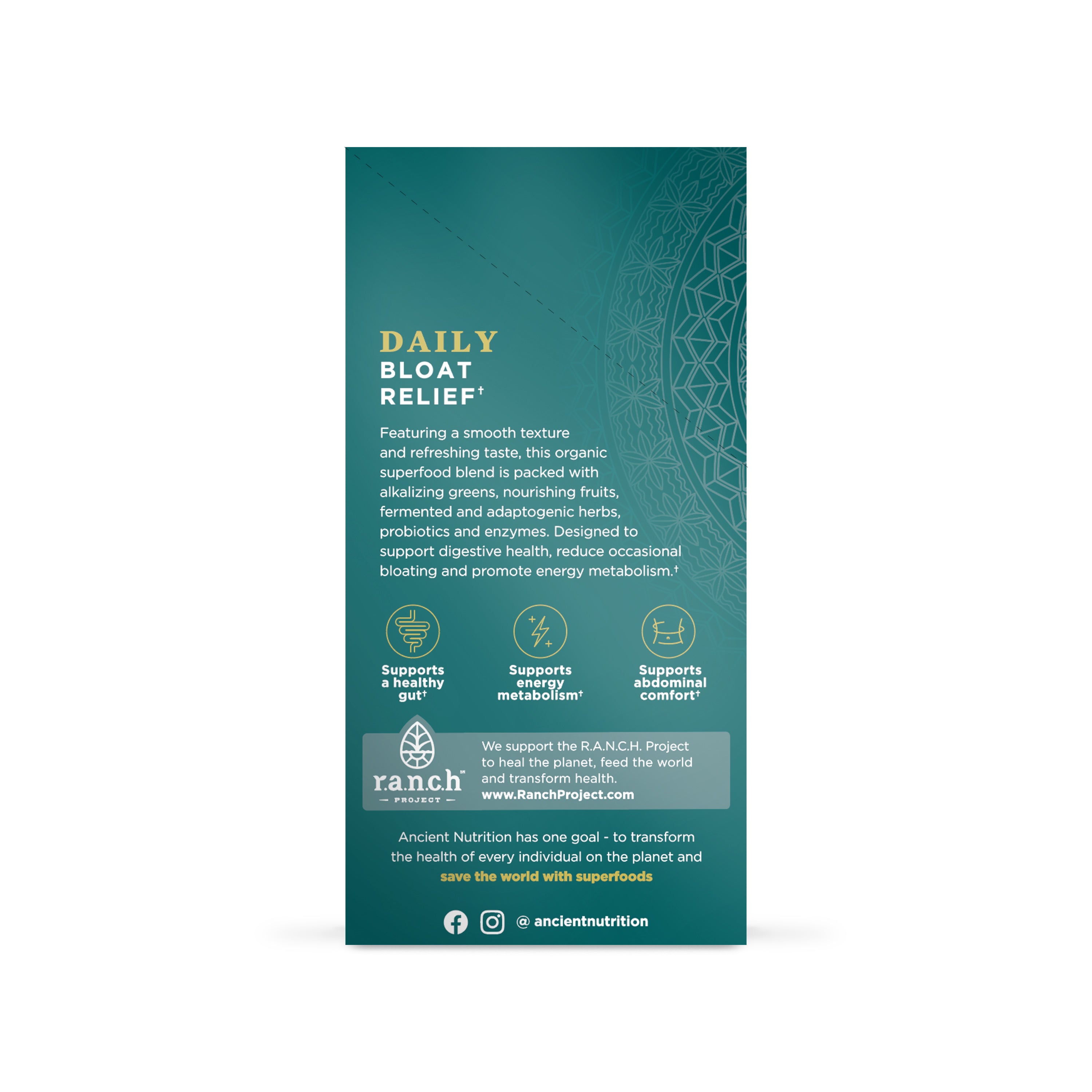 Teal box of Ancient Nutrition Daily Bloat Relief stick packs with gold text and decorative patterns.