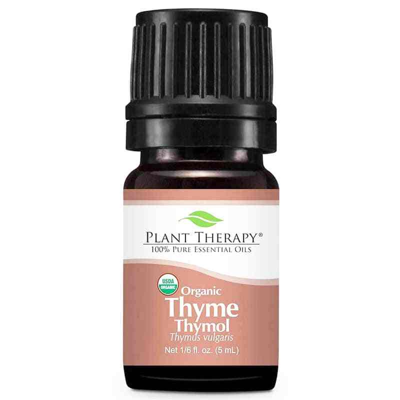 Organic Thyme Thymol Essential Oil, .16 Oz, by Plant Therapy