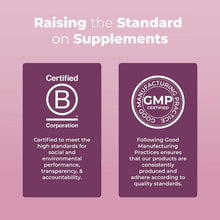 Two purple certification badges on pink background: B Corp Certified and GMP Certified Good Manufacturing Practice.