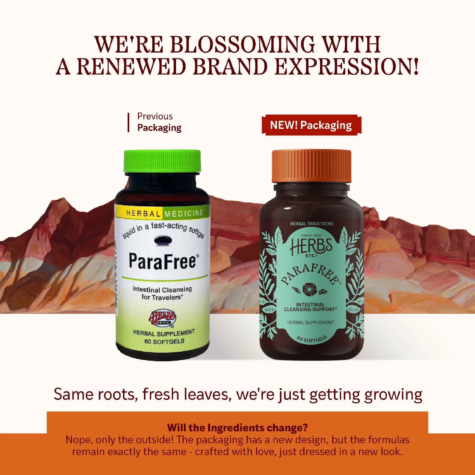 Para Free Softgels, by Herbs, Etc, image #3