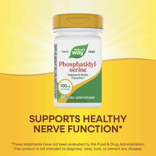 Nature's Way Phosphatidyl-serine 100mg bottle with gold cap and green leaf logo on yellow background.