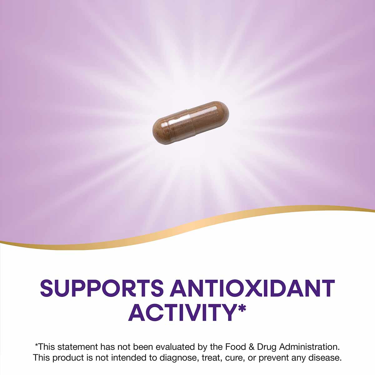 Brown pomegranate extract capsule on purple and white background with gold accent line.