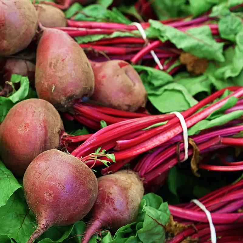 Premier Fermented Beets, by Premier Research Labs, image #5