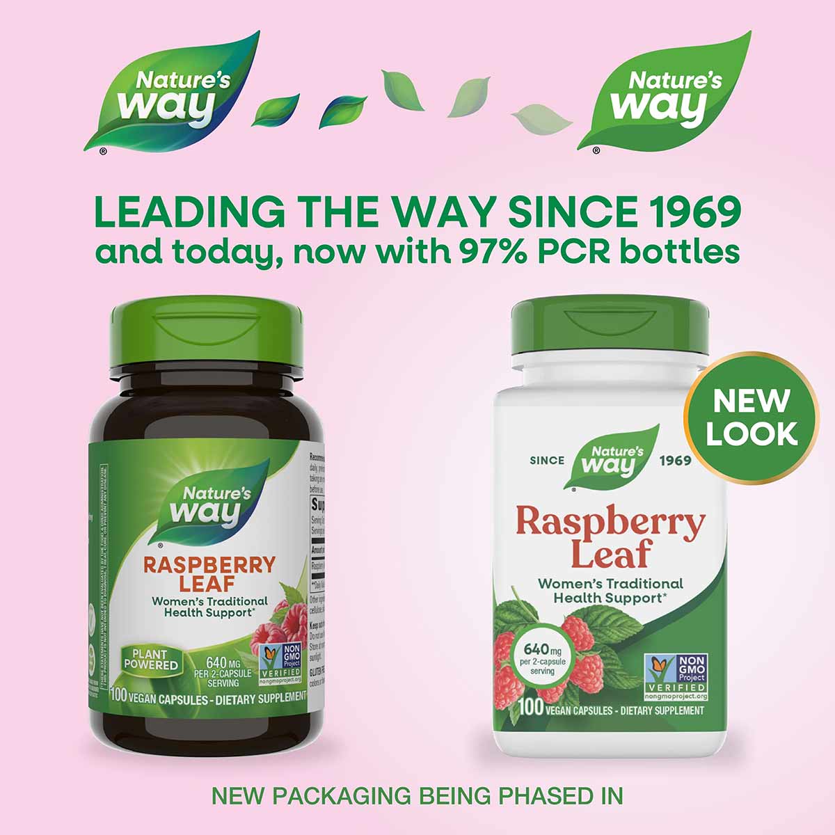 Two bottles of Nature's Way Raspberry Leaf supplement with green caps, one dark glass and one white plastic, displayed on pin