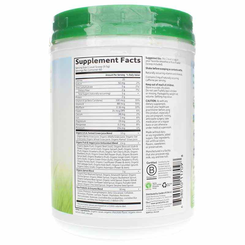 Raw Organic Perfect Food Green Powder, Chocolate, 20.1 Oz, by Garden of Life, image #2