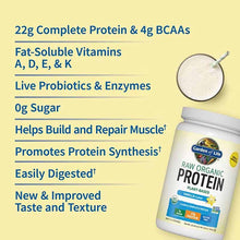 Raw Organic Protein, Vanilla, 23.28 Oz, by Garden of Life, image #4